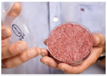 in vitro meat