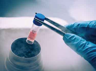 A promising new antifreeze for safer cryopreservation of cells