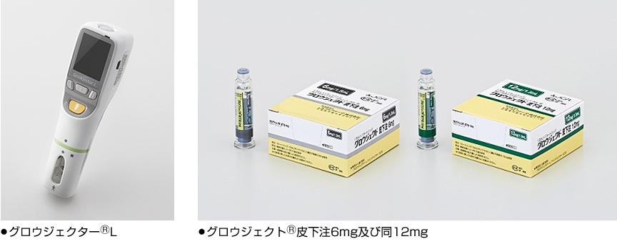 製品イメージ