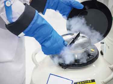 水の固液相転移の調整によって細胞をダメージから守る抗凍結剤