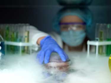 凍結防止剤を使用せずに細胞を冷凍できる時代が到来