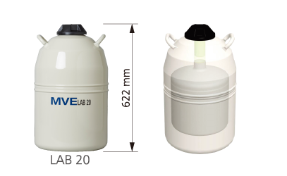 LAB20