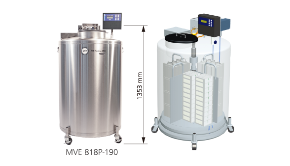 MVE 818P-190