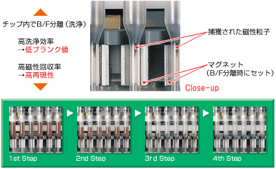 マグトレーション（Magtration技術による磁性分離）