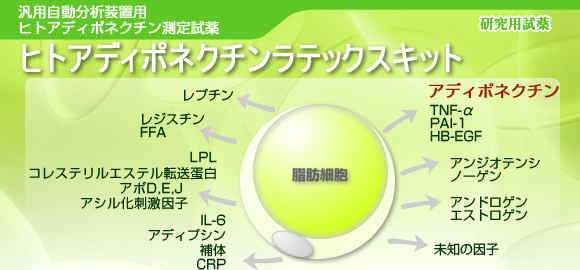 汎用自動分析装置用 ヒトアディポネクチン測定試薬 ヒトアディポネクチン ラテックスキット