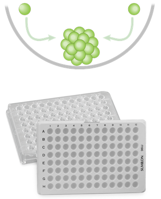 VIP ECO ultra-low freezer with lady looking at a biological sample