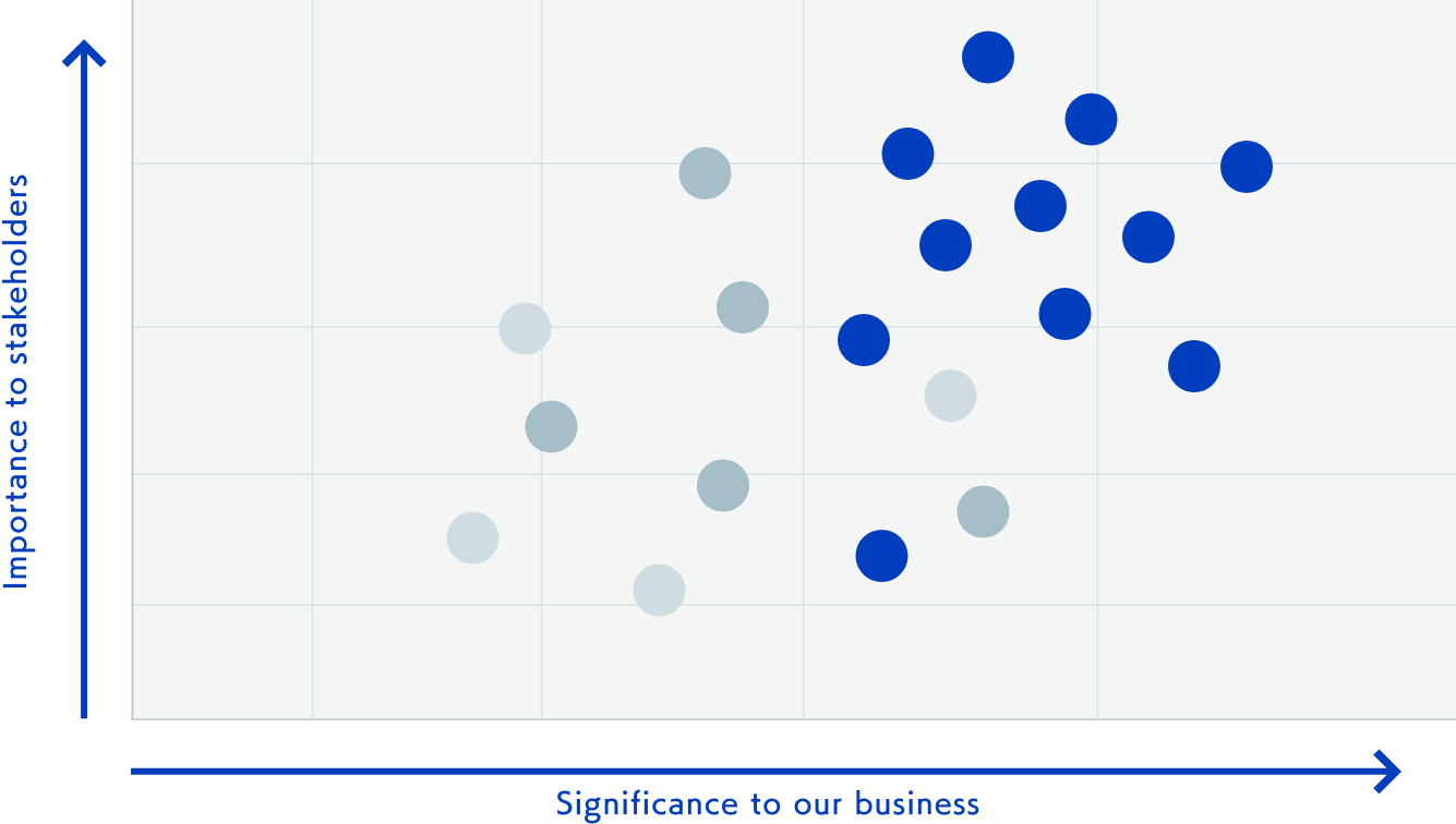 Materiality assessment figure